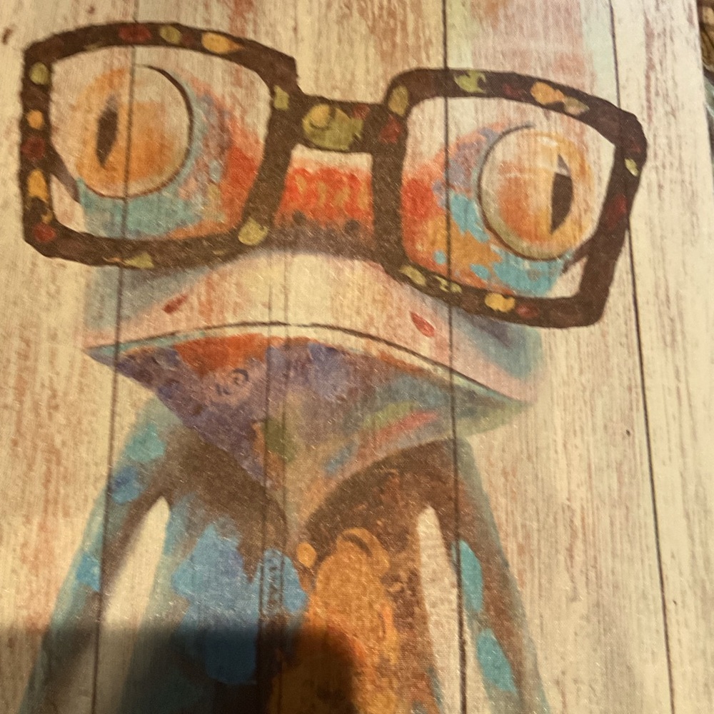 FROG CANVAS WALL ART 19”x19”NEW CONDITION.EASY TO HANG.COLORFUL
